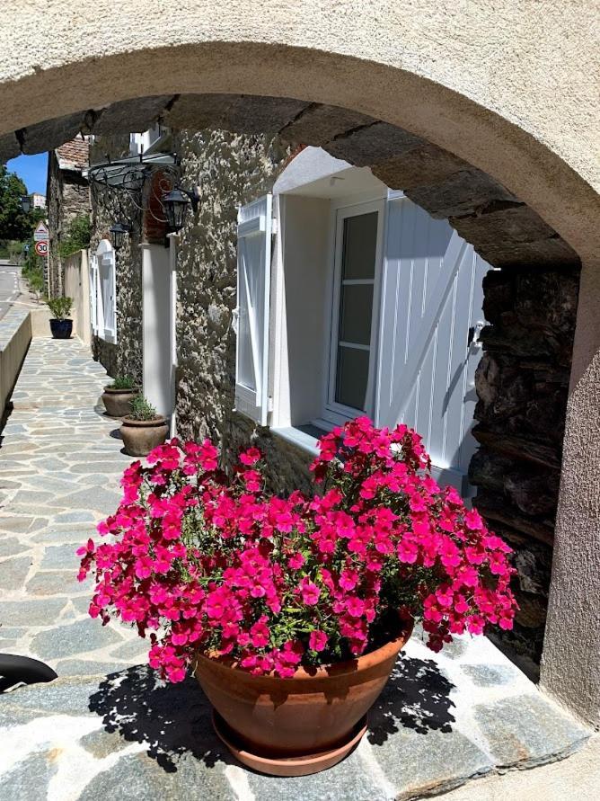 Villa La Source 8 Ou 6 Couchages Valle d'Alesani Exterior foto