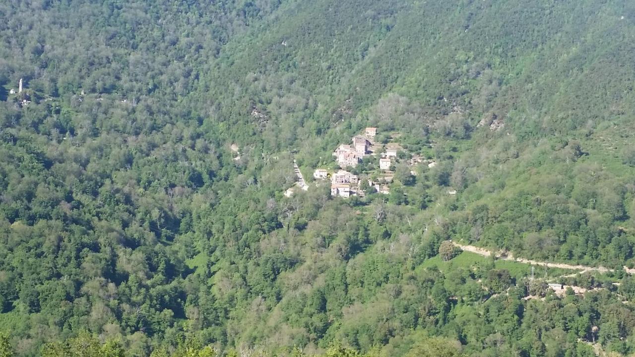 Villa La Source 8 Ou 6 Couchages Valle d'Alesani Exterior foto